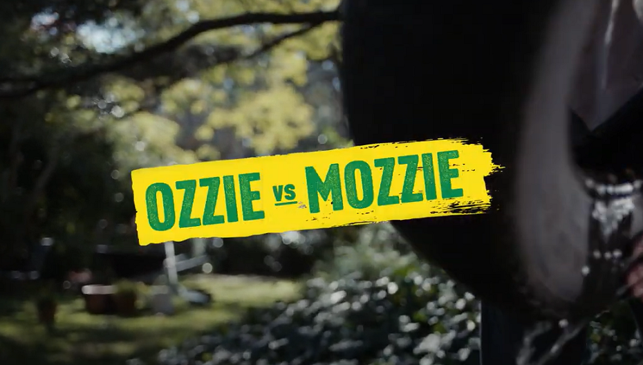 Ozzie vs Mozzie tip out stagnant water Australian Government Department of Health and Aged Care