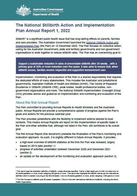 Cover page for the NSAIP annual report 2022