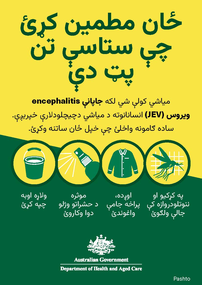 پټ دې چې ستاسې تن ځان مطمین کړئ