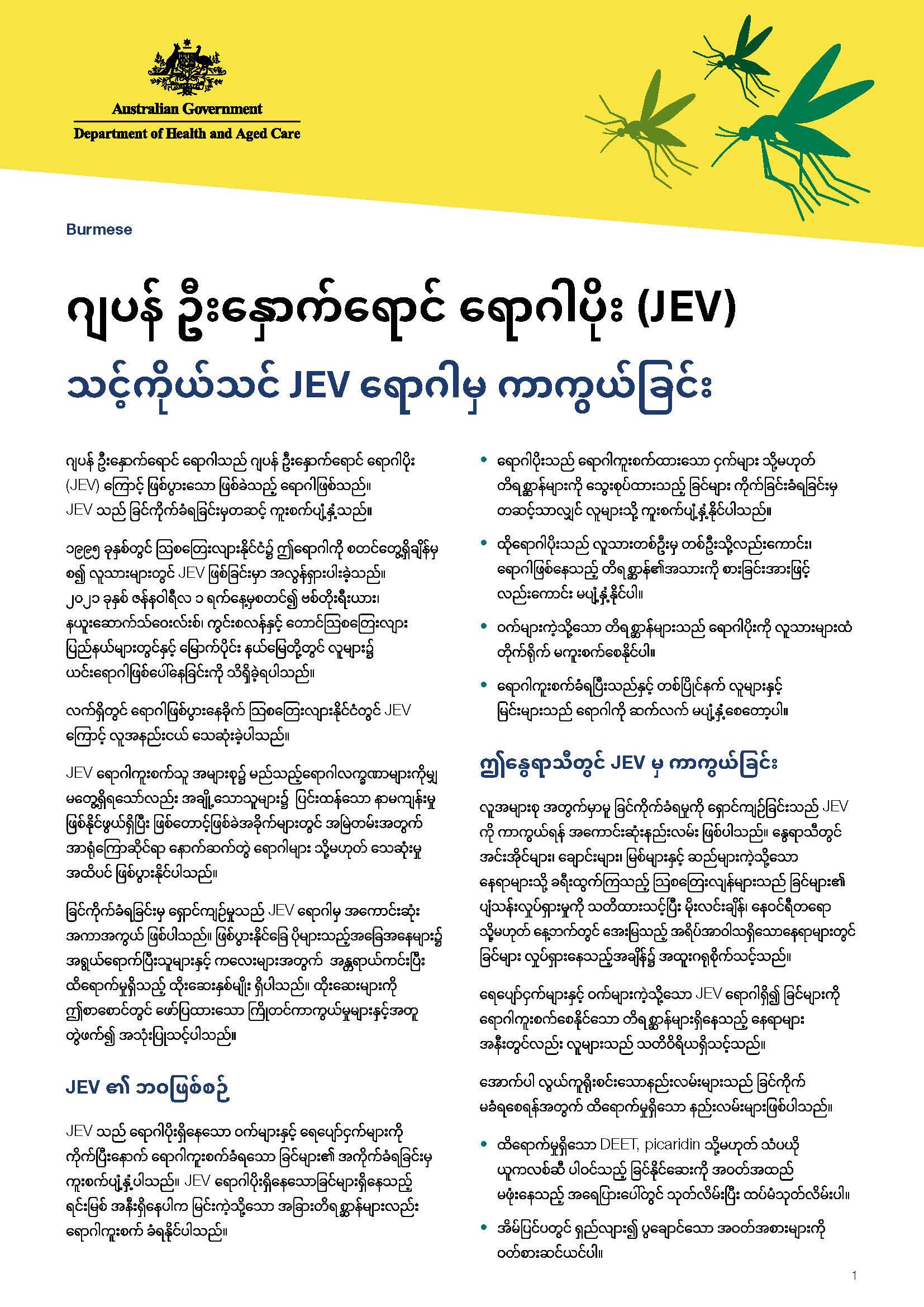 ဂျပန်် ဦးနှောက် ရောင် ရောဂါပိုး (JEV) - သင့်ကိုယ်သင် JEV ရောဂါမှ ကာကွယ် ခြင်း 