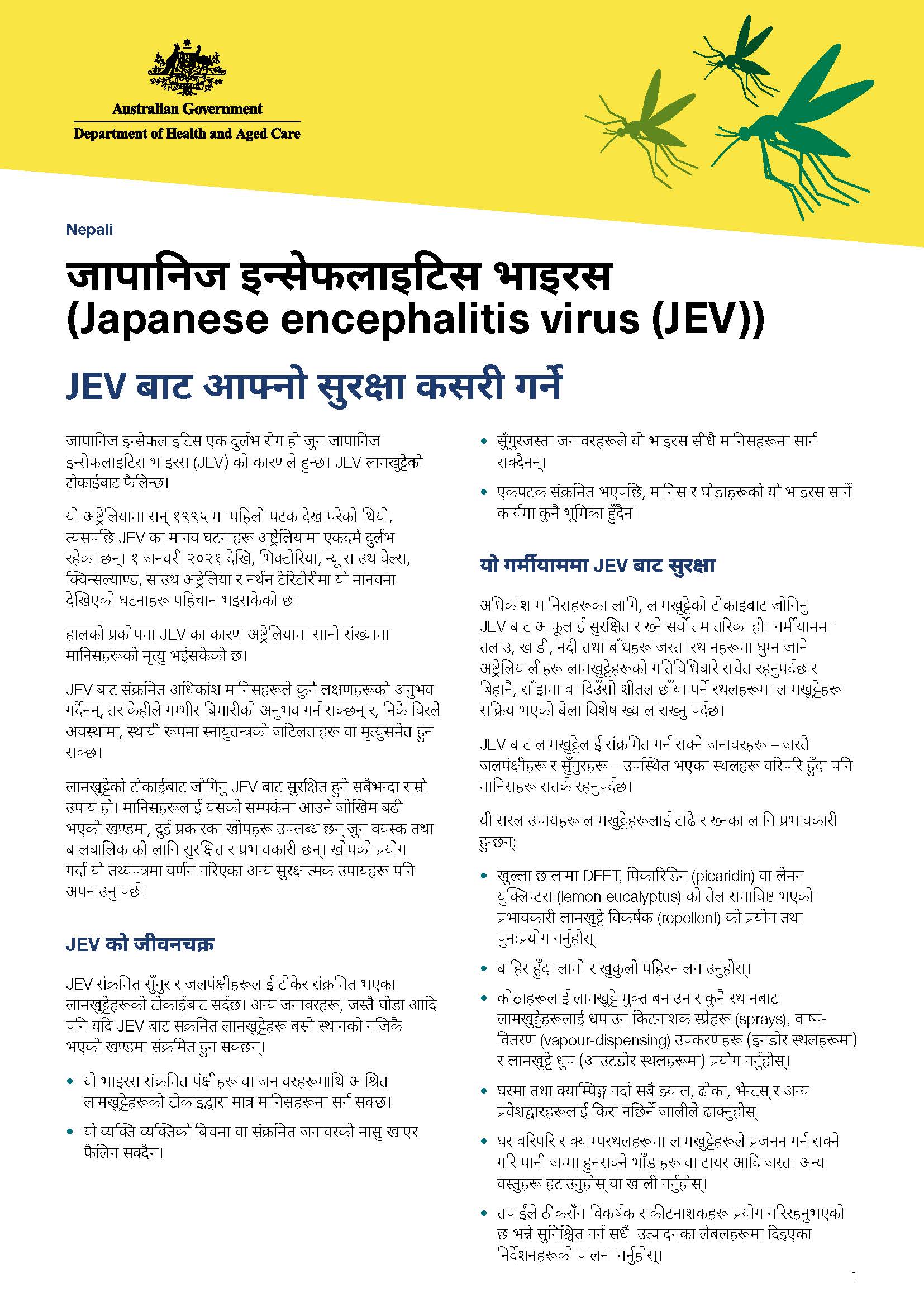 जापानिज इन््ससे फलाइटिस भाइरस (Japanese encephalitis virus (JEV))