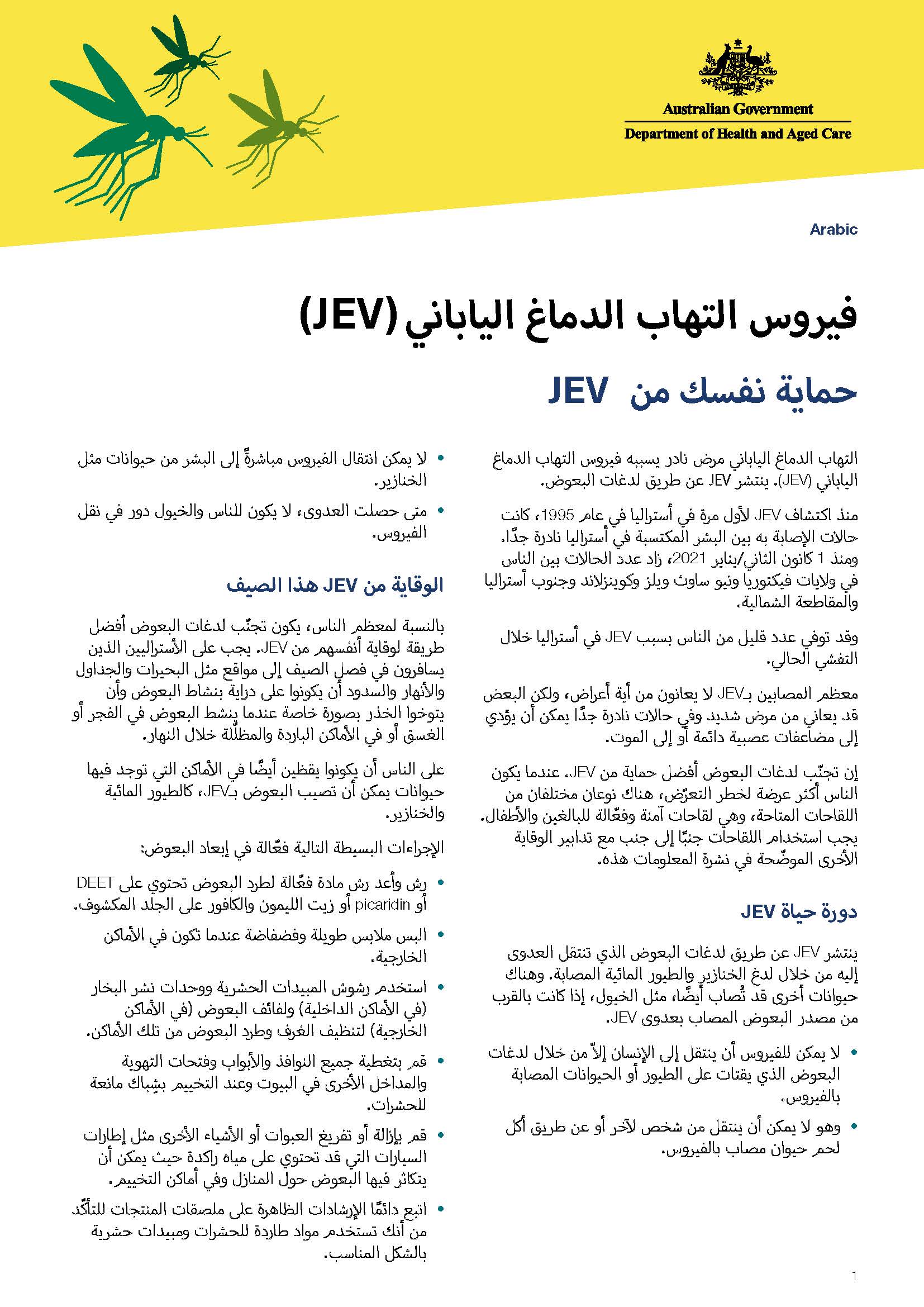 (JEV) فيروس التهاب الدماغ الياباني