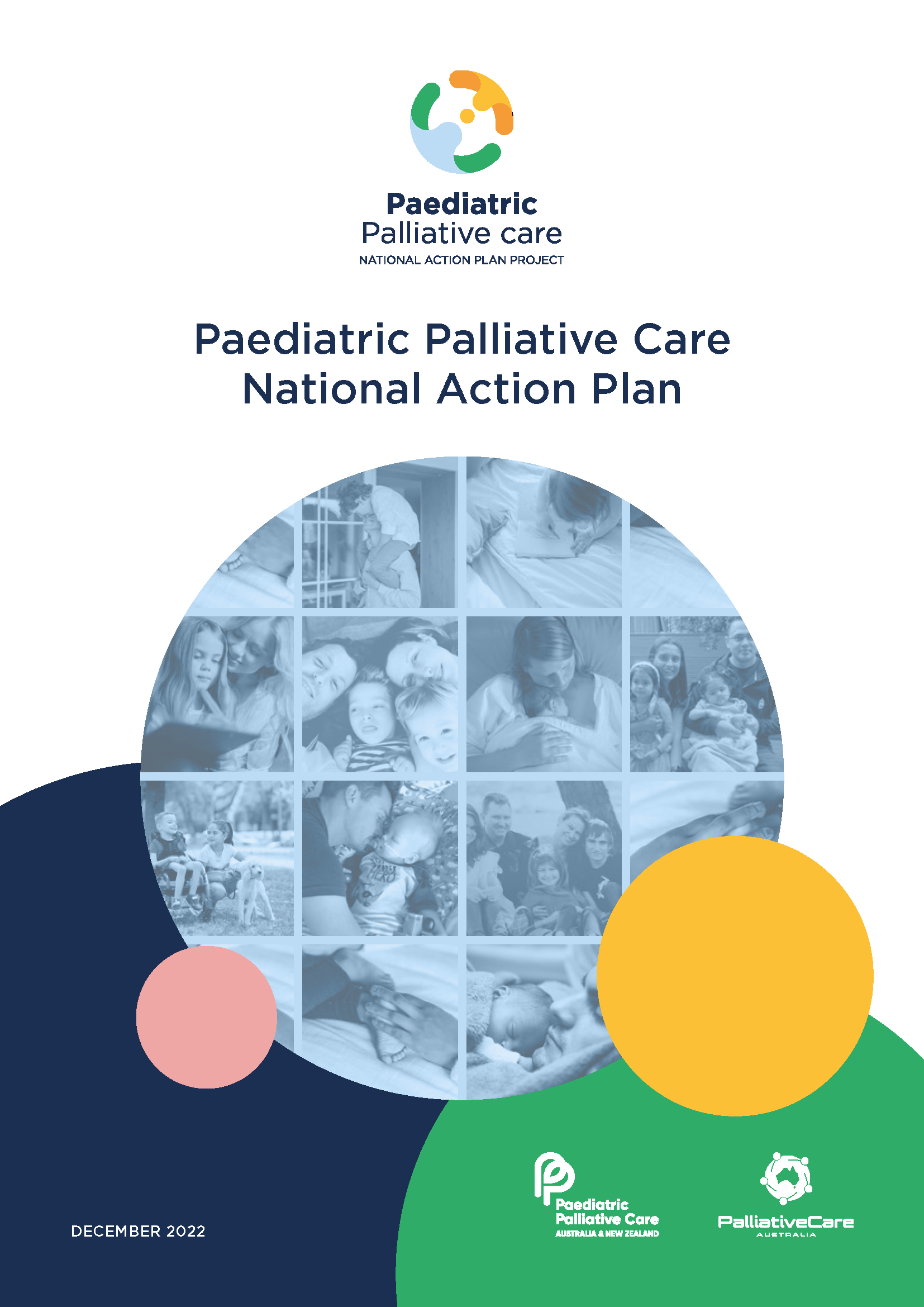 The Paediatric Palliative Care National Action Plan