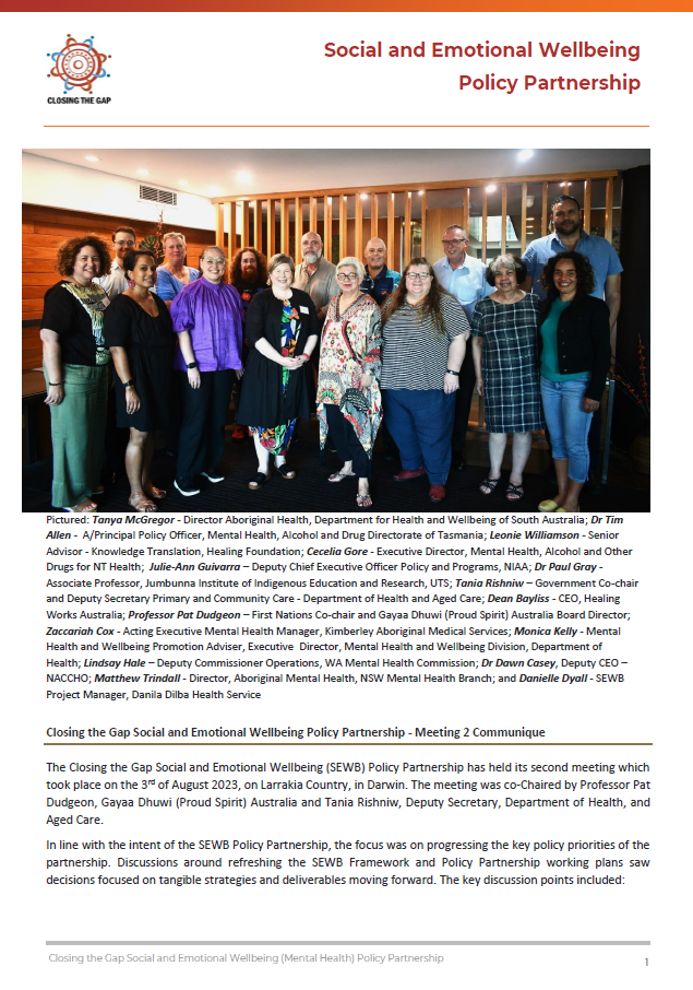 Social and Emotional Wellbeing Policy Partnership – Meeting 2 communique