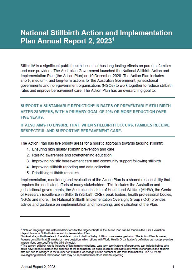 The National Stillbirth Action and Implementation Plan Annual report 2, 2023
