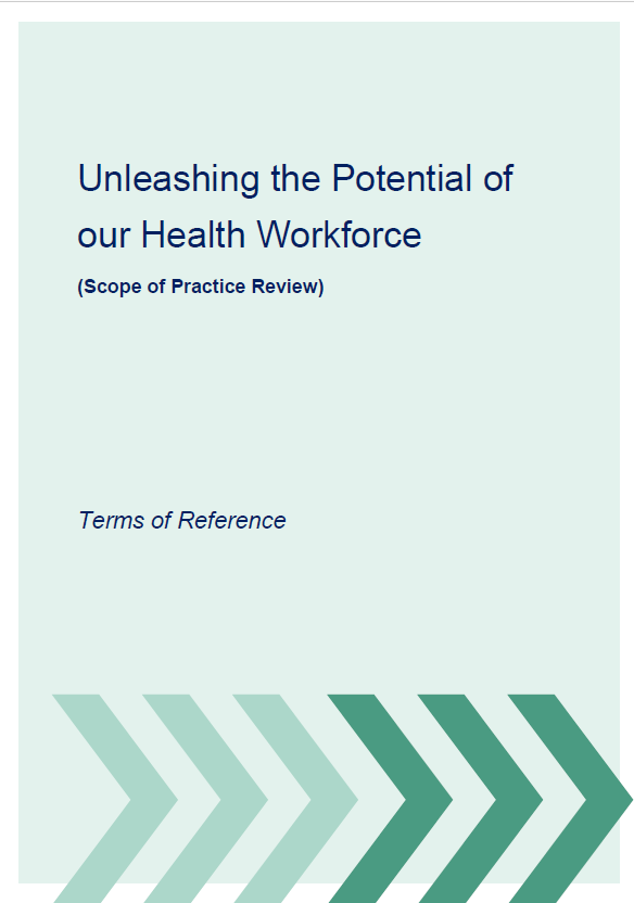 Cover image for the terms of reference