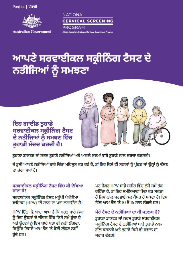 Punjabi cover image