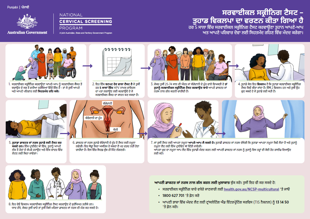 Punjabi cover image