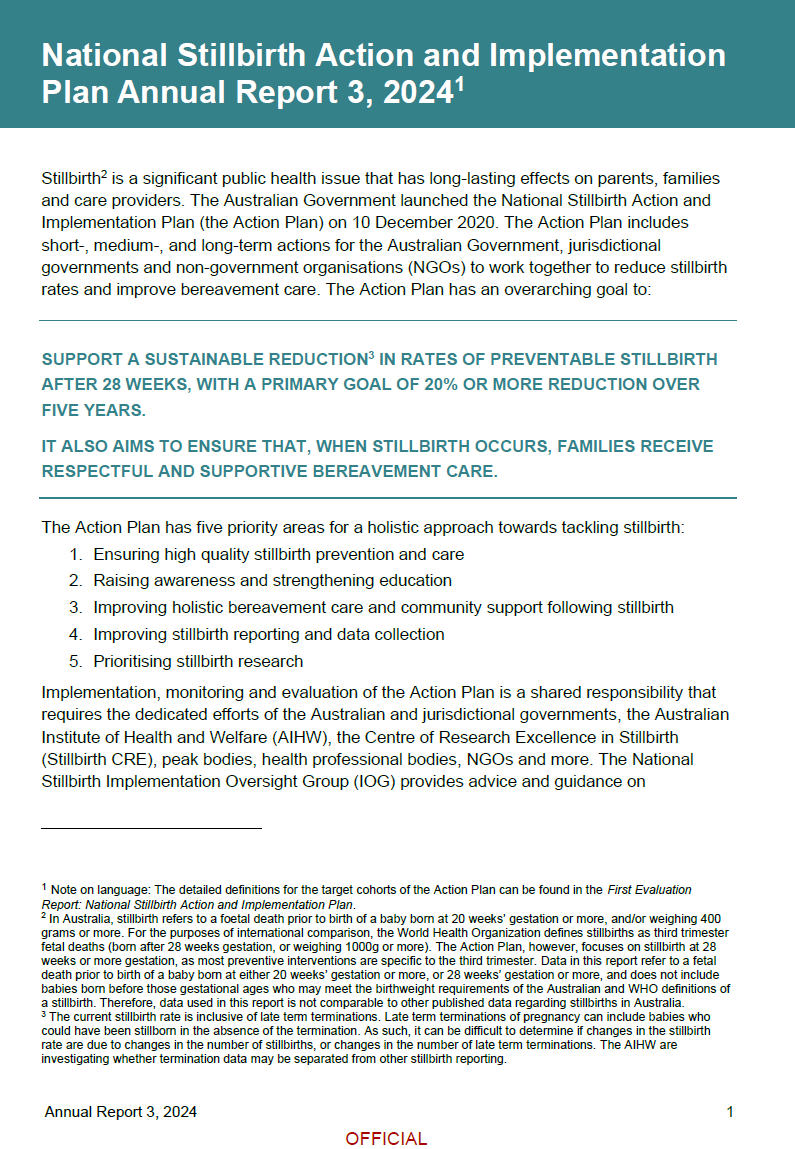 The National Stillbirth Action and Implementation Plan Annual 