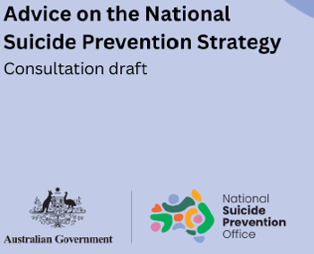 Advice on the National Suicide Prevention Strategy - Consultation Draft