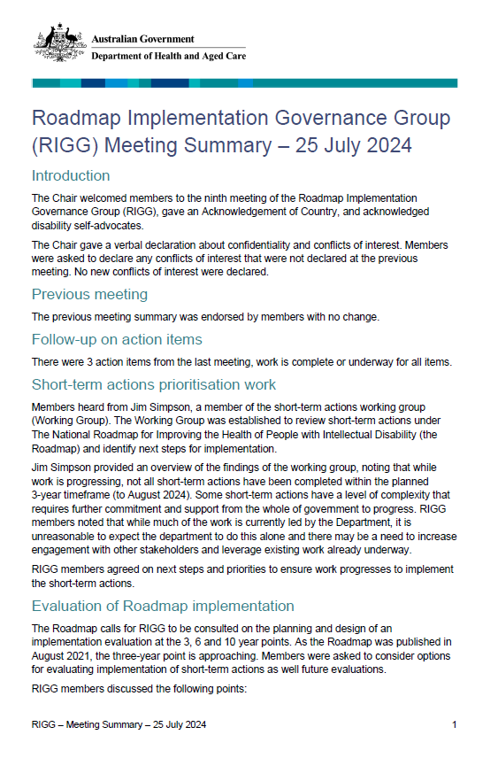 Cover page for the Roadmap Implementation Governance Group (RIGG) – Meeting Summary