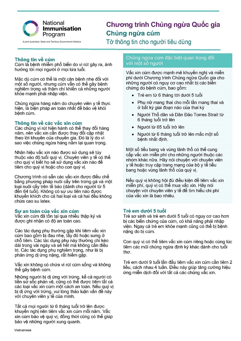 2025 influenza (flu) vaccination – Consumer fact sheet_Vietnamese