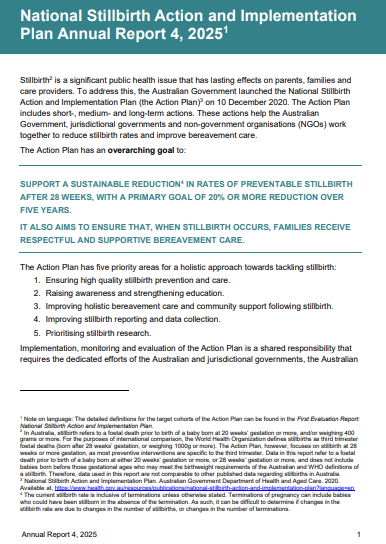 National Stillbirth Action and Implementation Plan Annual Report 4