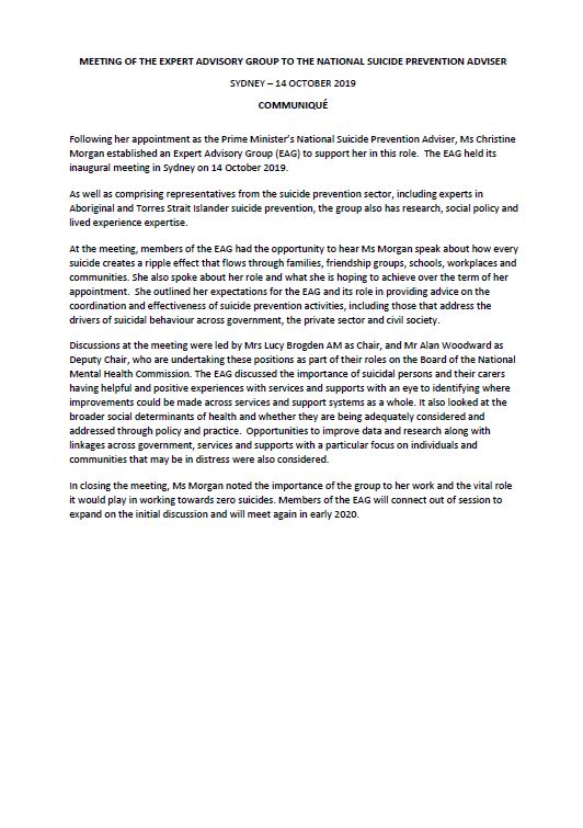 Cover image for Communique from the expert advisory group to the National Suicide Prevention Adviser 
