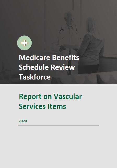 Cover image for Report on Vascular services items