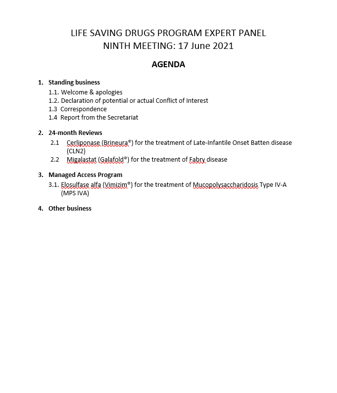 cover page for the Life Saving Drugs Program (LSDP) Expert Panel meeting agenda