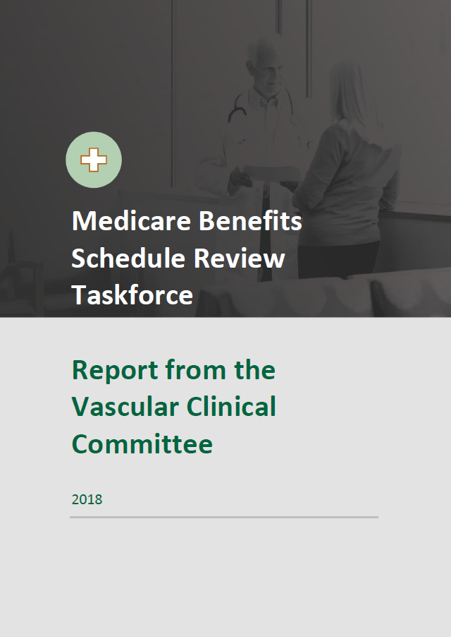 Cover image of final clinical committee report for Vascular Services