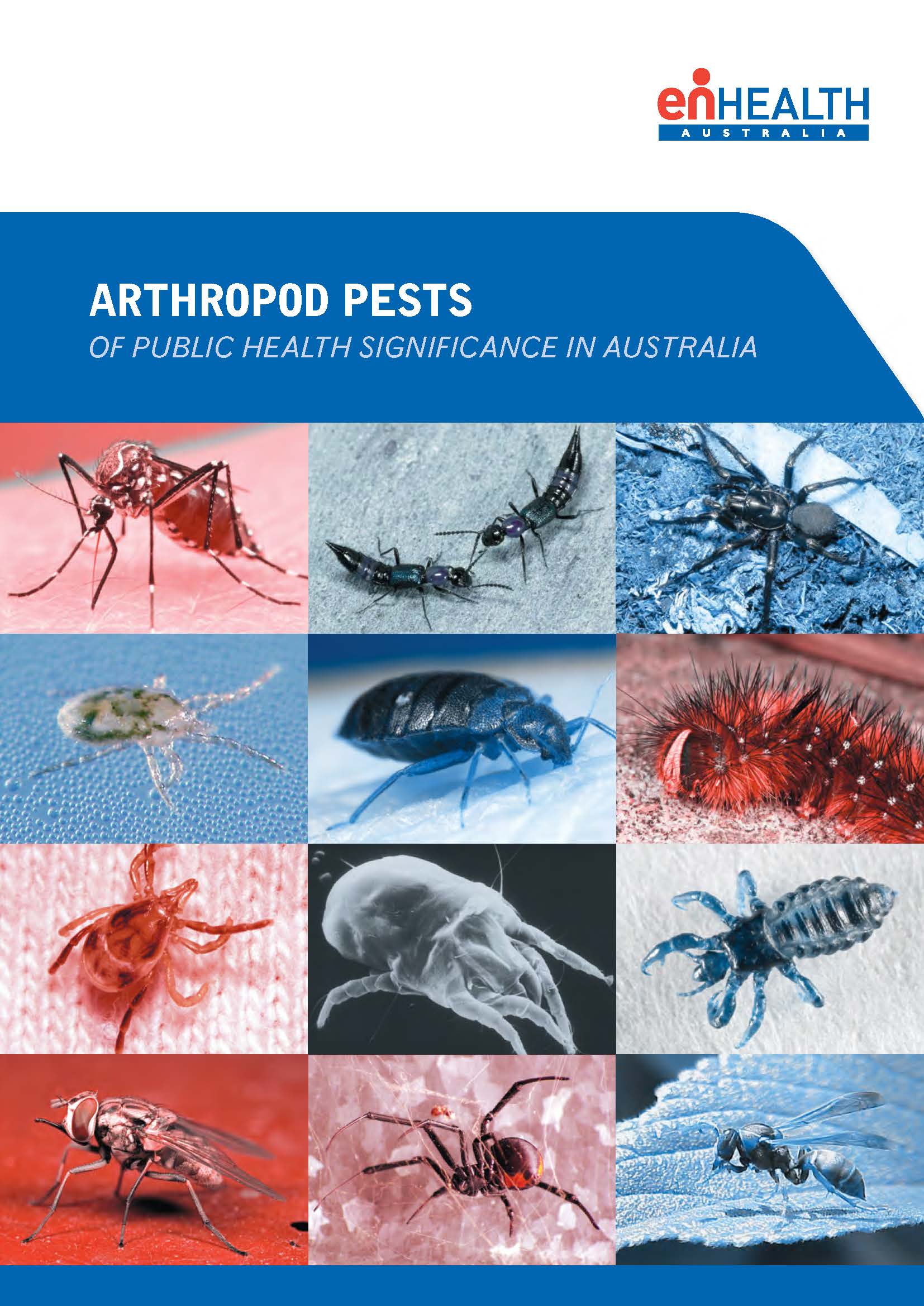 Cover image for enHealth guidance – Arthropod pests of public health significance in Australia