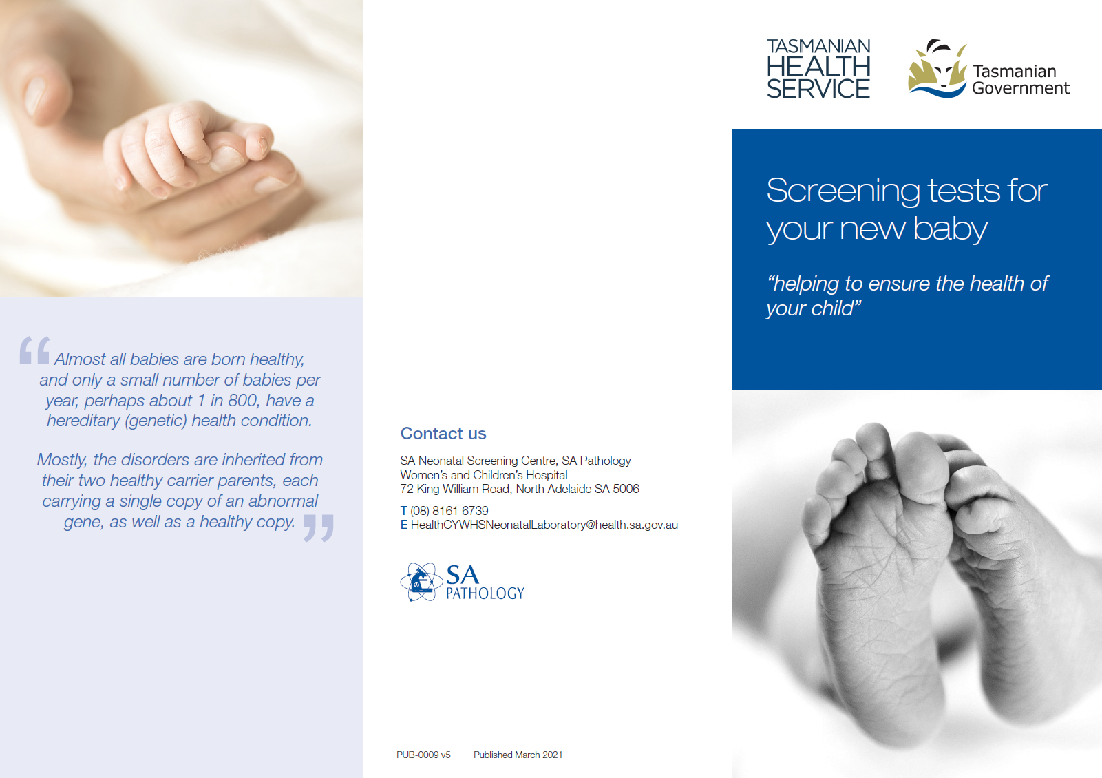 NBS brochure cover image