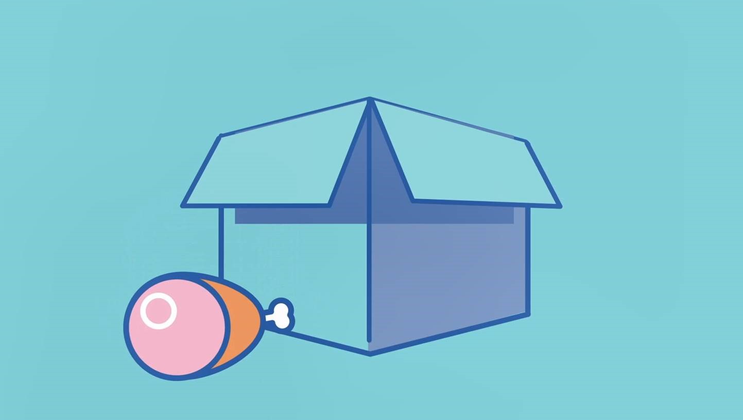 Covid 19 Vaccines Covid 19ワクチン 全国で接種開始 Priority Rollout Animation Australian Government Department Of Health