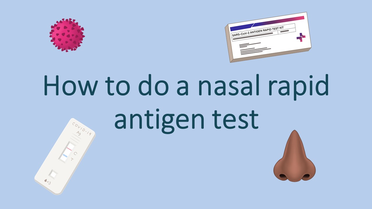 Coronavirus (COVID19) Video How to do a nasal rapid antigen test