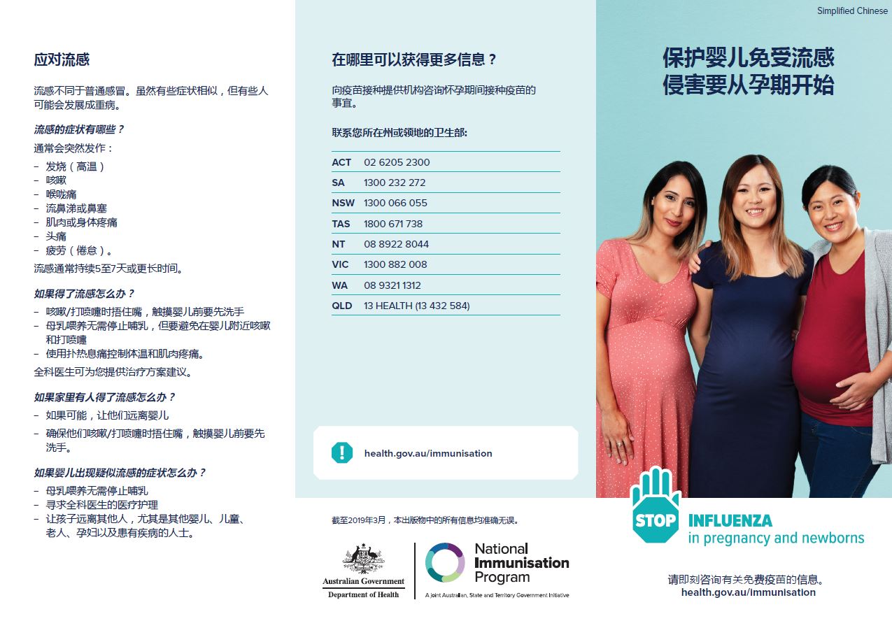 maternal influenza brochure - Simplified Chinese image