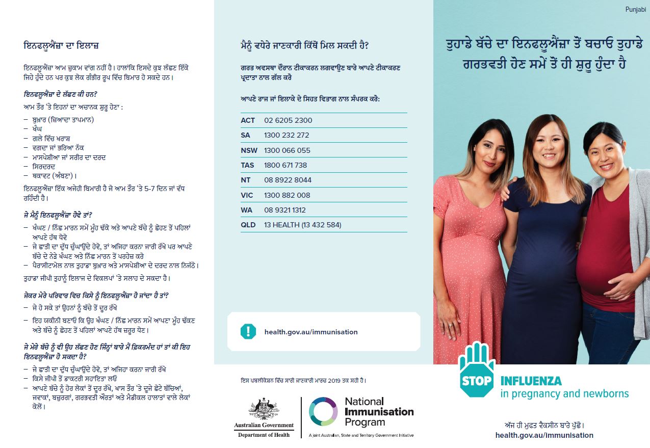maternal influenza brochure - Punjabi image