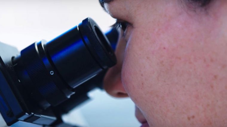 $22 million for early-stage health and medical research