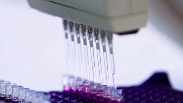 A row of test tubes with purple liquid being inserted.