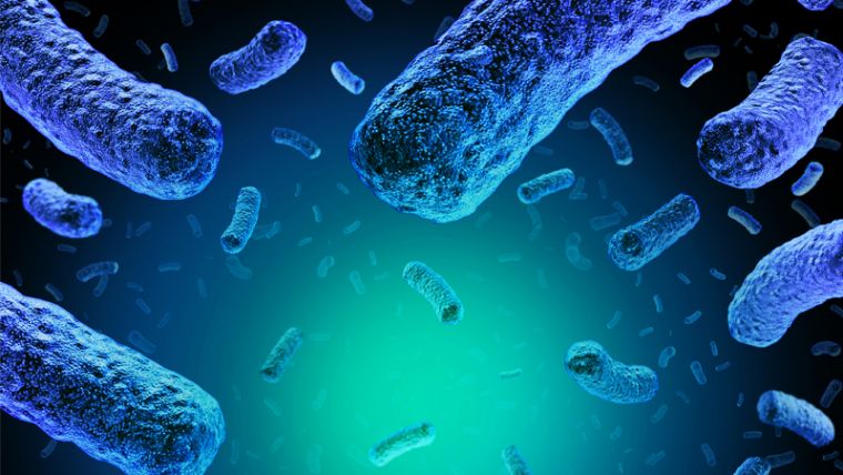 image of the bacteria Listeria