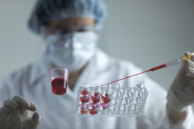 Image of researcher with cell culture