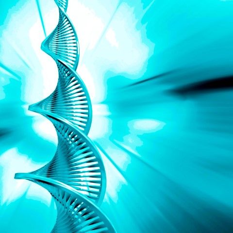 image of double helix