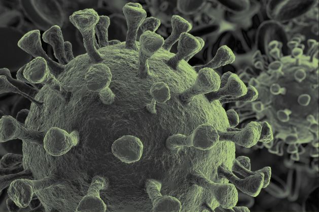 image-novel-corona-virus