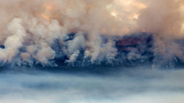 Bushfire smoke