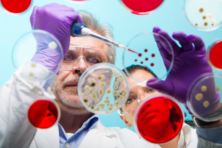 Male and female researchers at work in lab