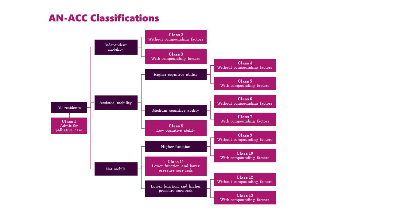 AN-ACC assessment process and classification | Australian Government Department of Health and ...