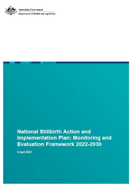 Cover image NSAIP Monitoring and Evaluation Framework 2022-2030