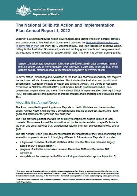 Cover page for the NSAIP annual report 2022