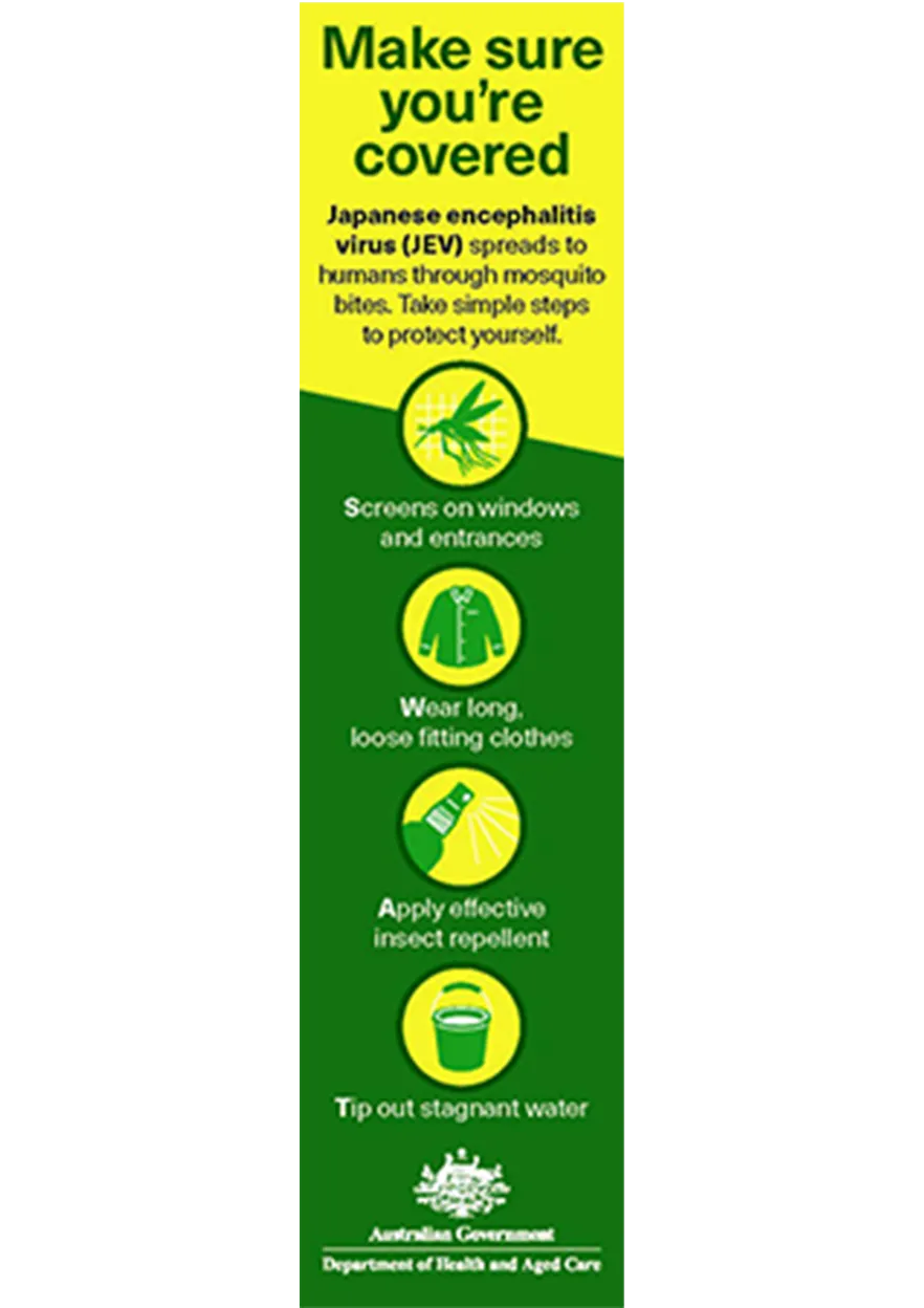 Japanese encephalitis virus (JEV) – Make sure you're covered – Bookmark