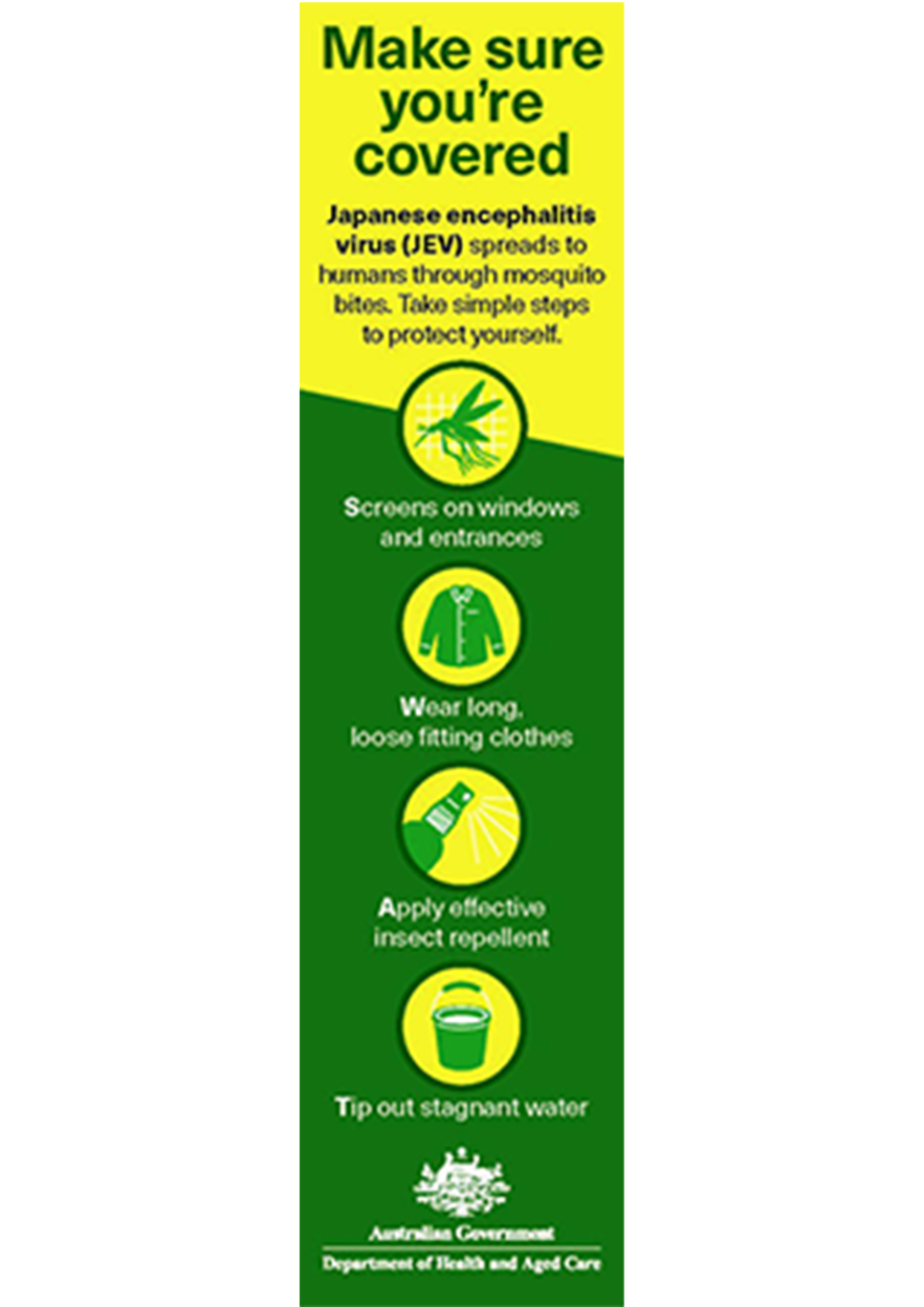Japanese encephalitis virus (JEV) – Make sure you're covered – Bookmark