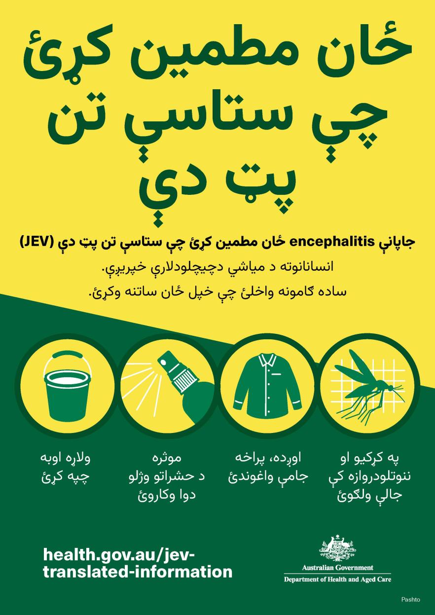 پټ دې چې ستاسې تن ځان مطمین کړئ