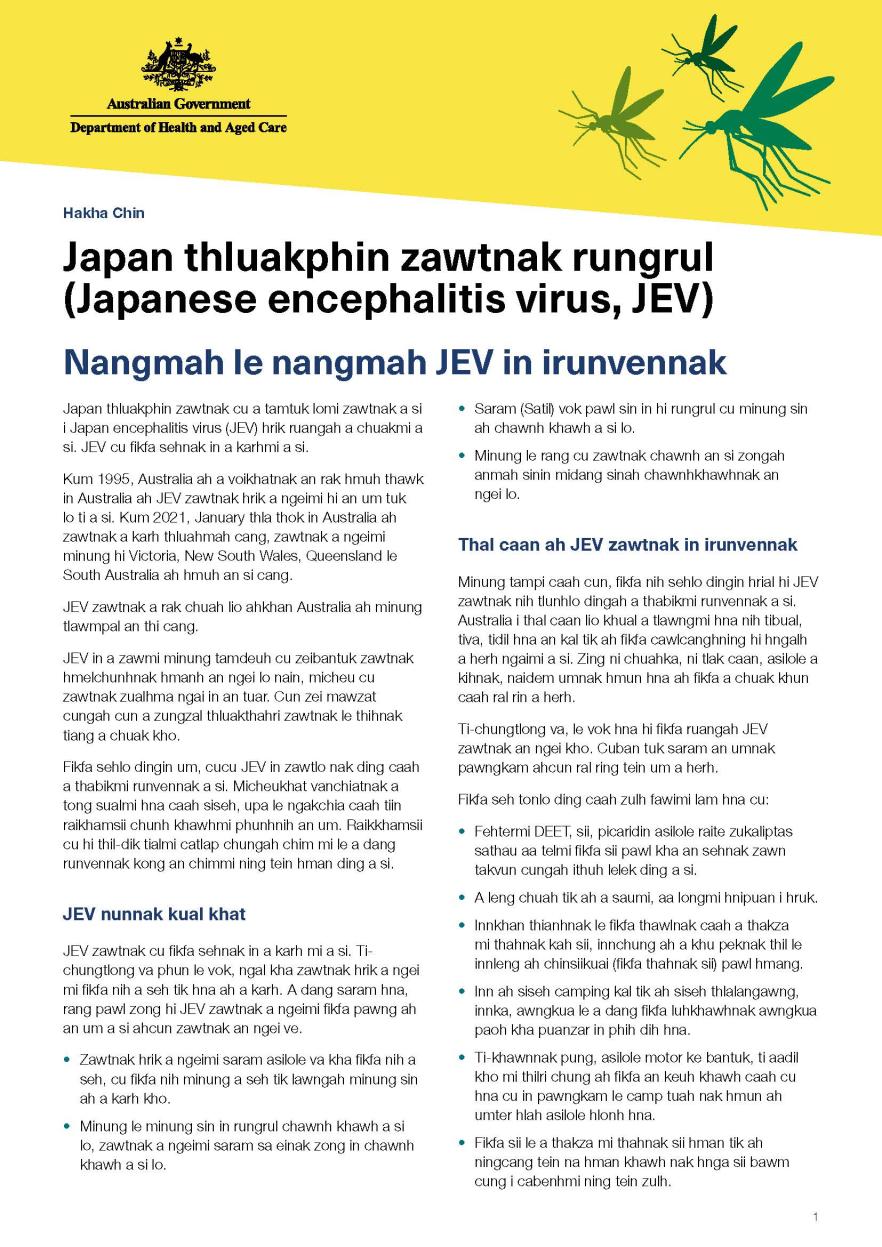 Nangmah le nangmah JEV in irunvennak