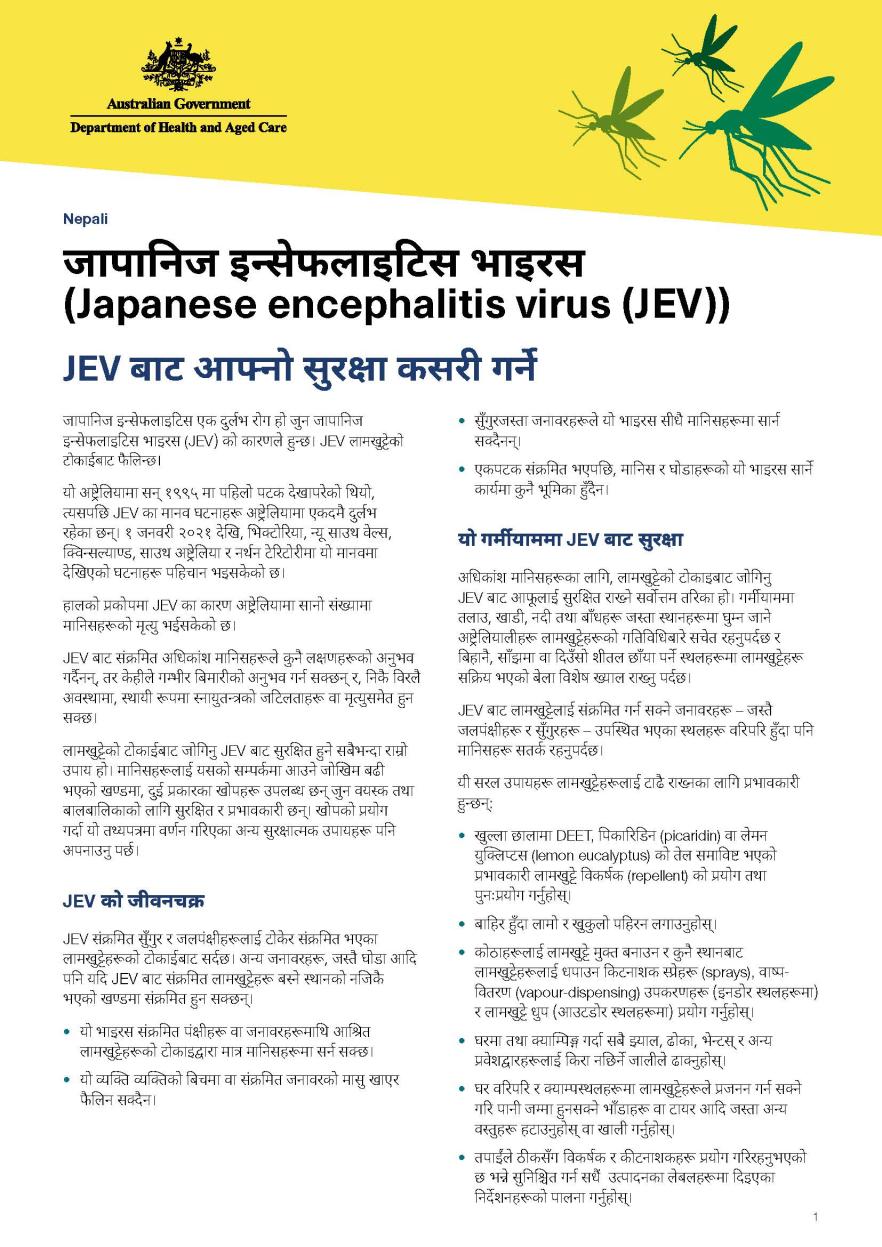 जापानिज इन््ससे फलाइटिस भाइरस (Japanese encephalitis virus (JEV))