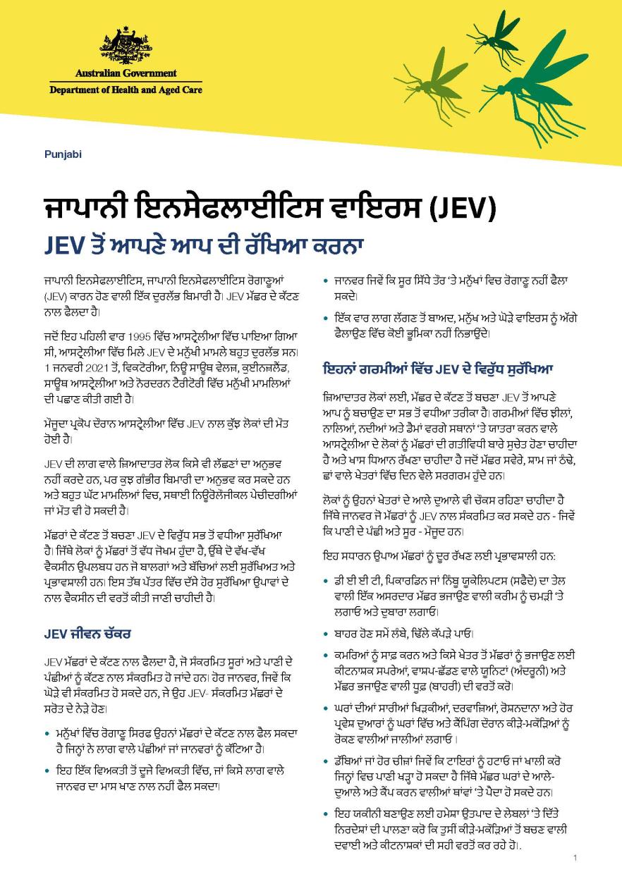 ਜਾਪਾਨੀ ਇਨਸੇਫਲਾਈਟਿਸ ਵਾਇਰਸ (JEV)
