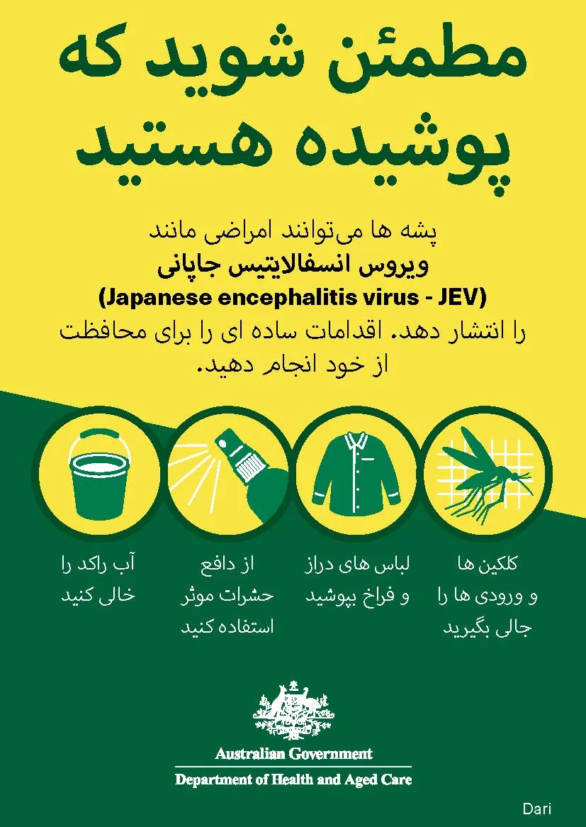 پوشیده هستید مطمئن شوید که