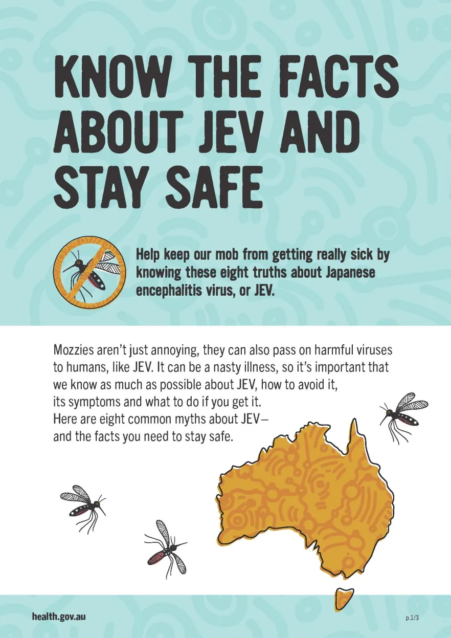 Japanese encephalitis virus (JEV) - Know the facts about JEV and stay safe