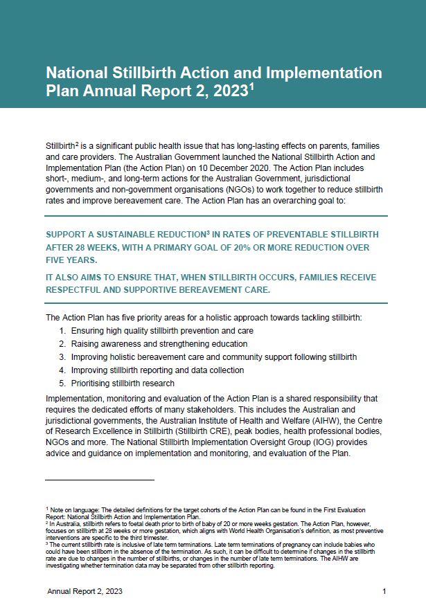 The National Stillbirth Action and Implementation Plan Annual report 2, 2023