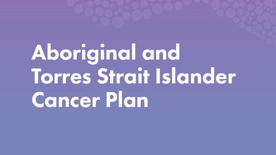 NACCHO Cancer Plan