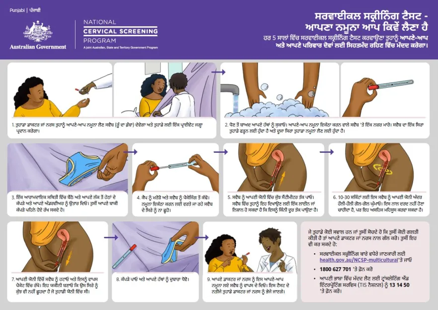Punjabi cover image