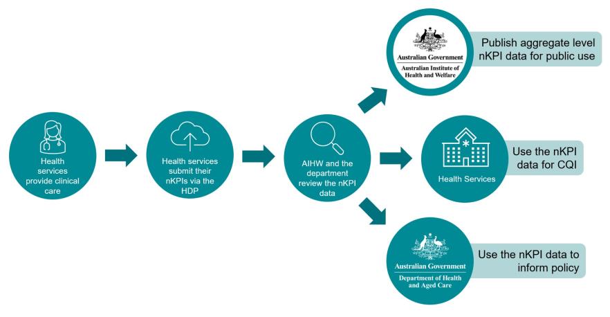 Graphic depicting the nKPI workflow process.